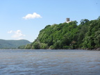 IMG 4773